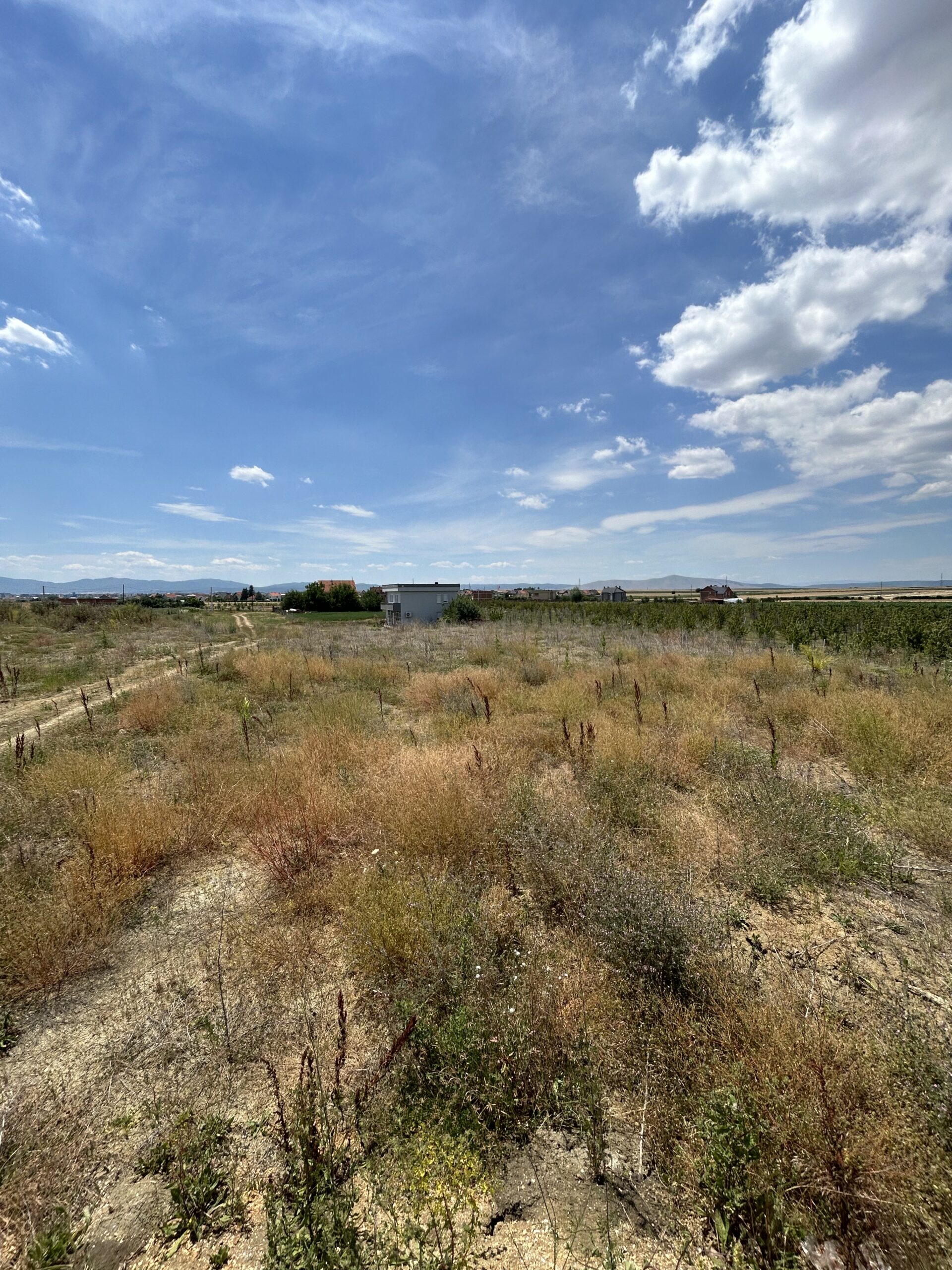 Toke 90 ari #PerShitje ne Gushterice - Image 3