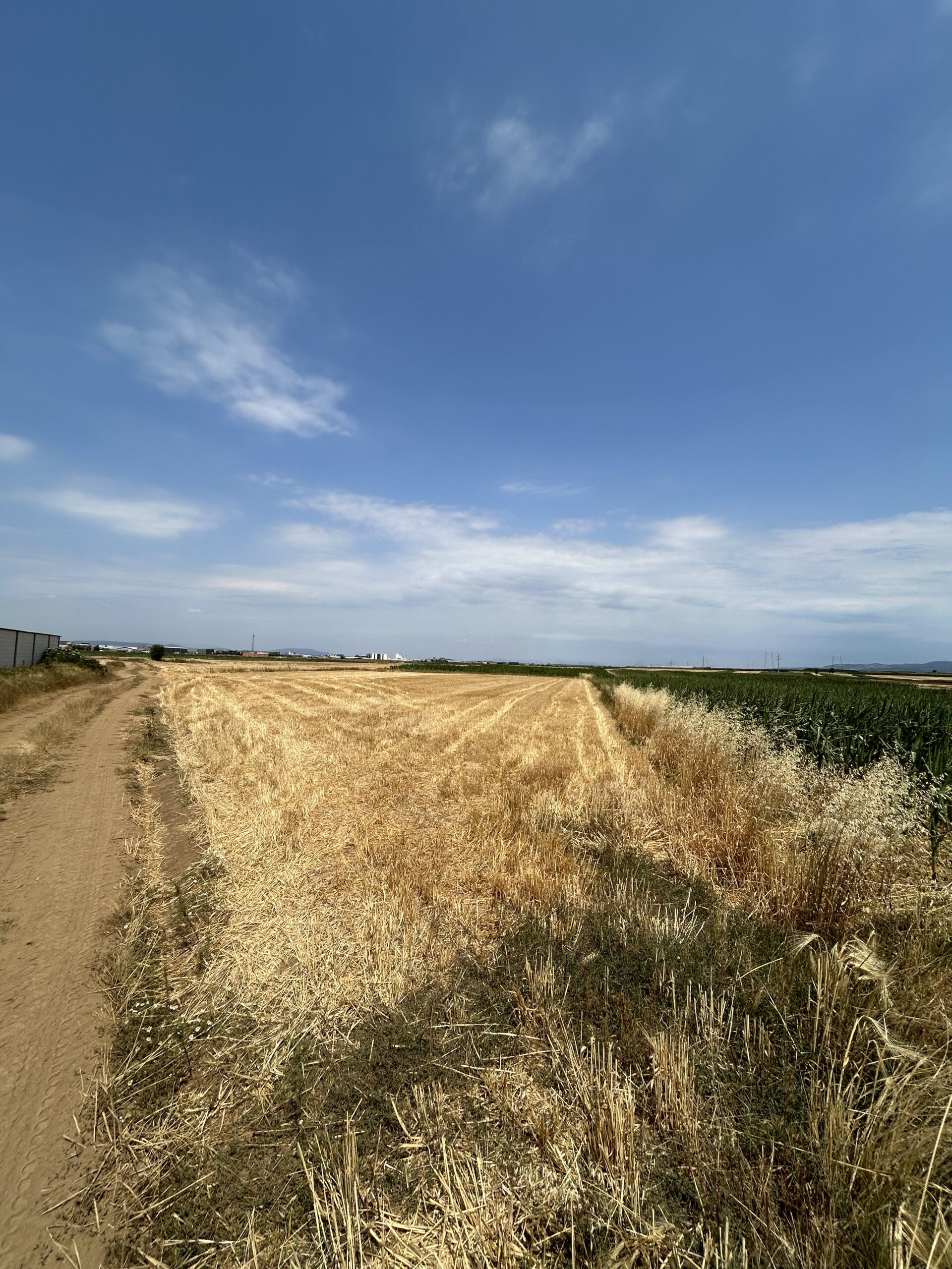 Toke 171+34 ari #PerShitje ne Dobratine - Image 4