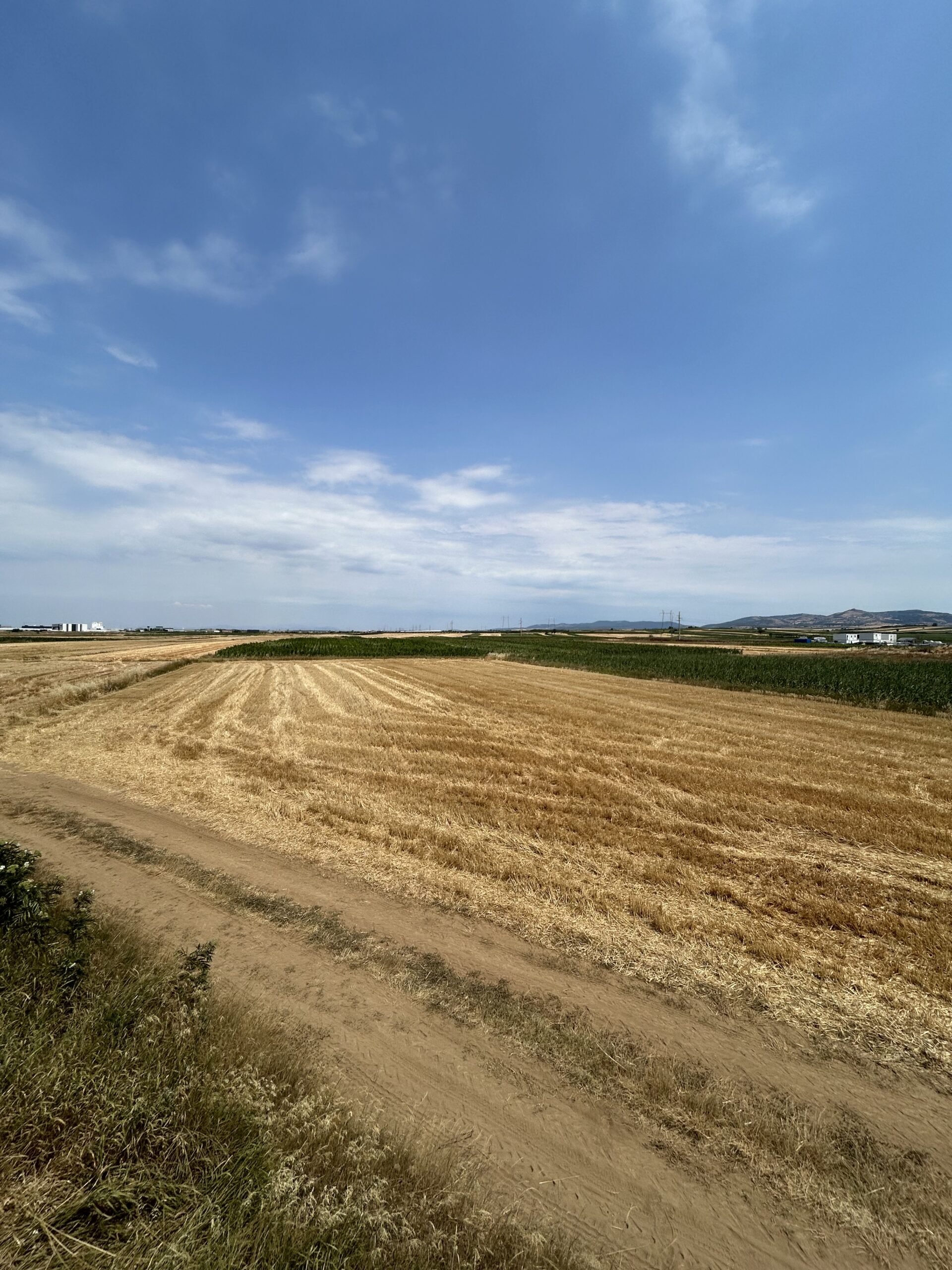 Toke 171+34 ari #PerShitje ne Dobratine - Image 3