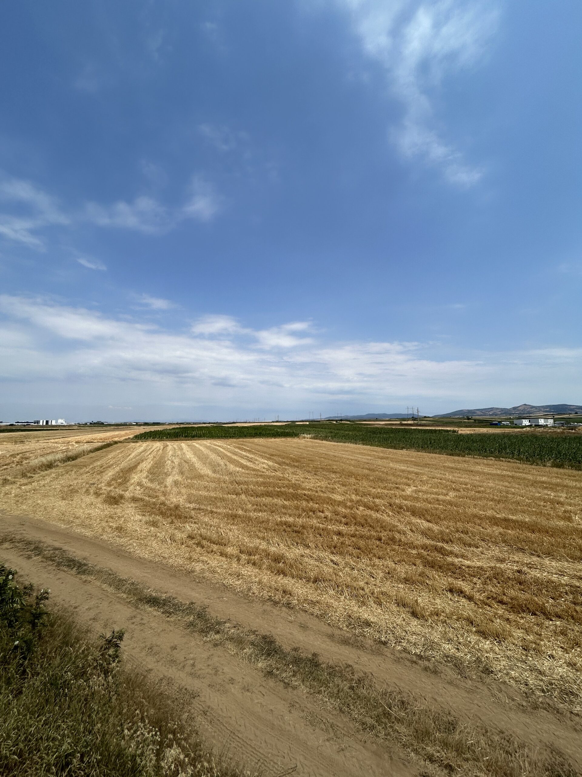 Toke 171+34 ari #PerShitje ne Dobratine - Image 2