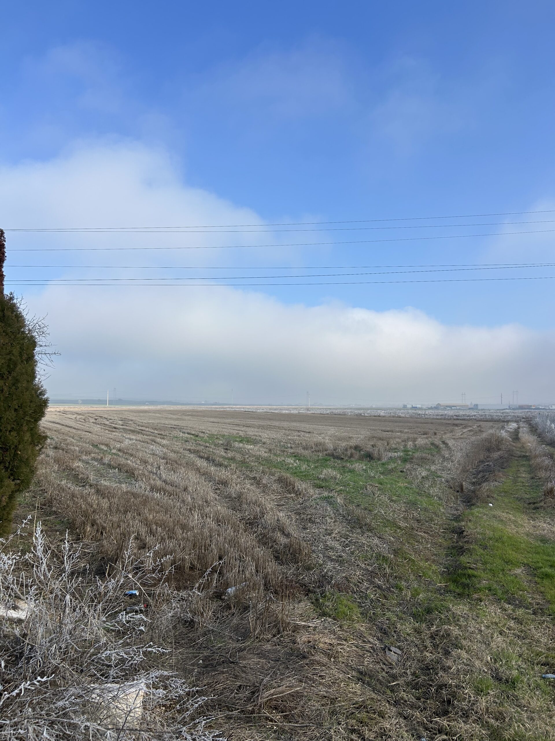 Toke 181 ari #PerShitje ne Dobratine - Image 2