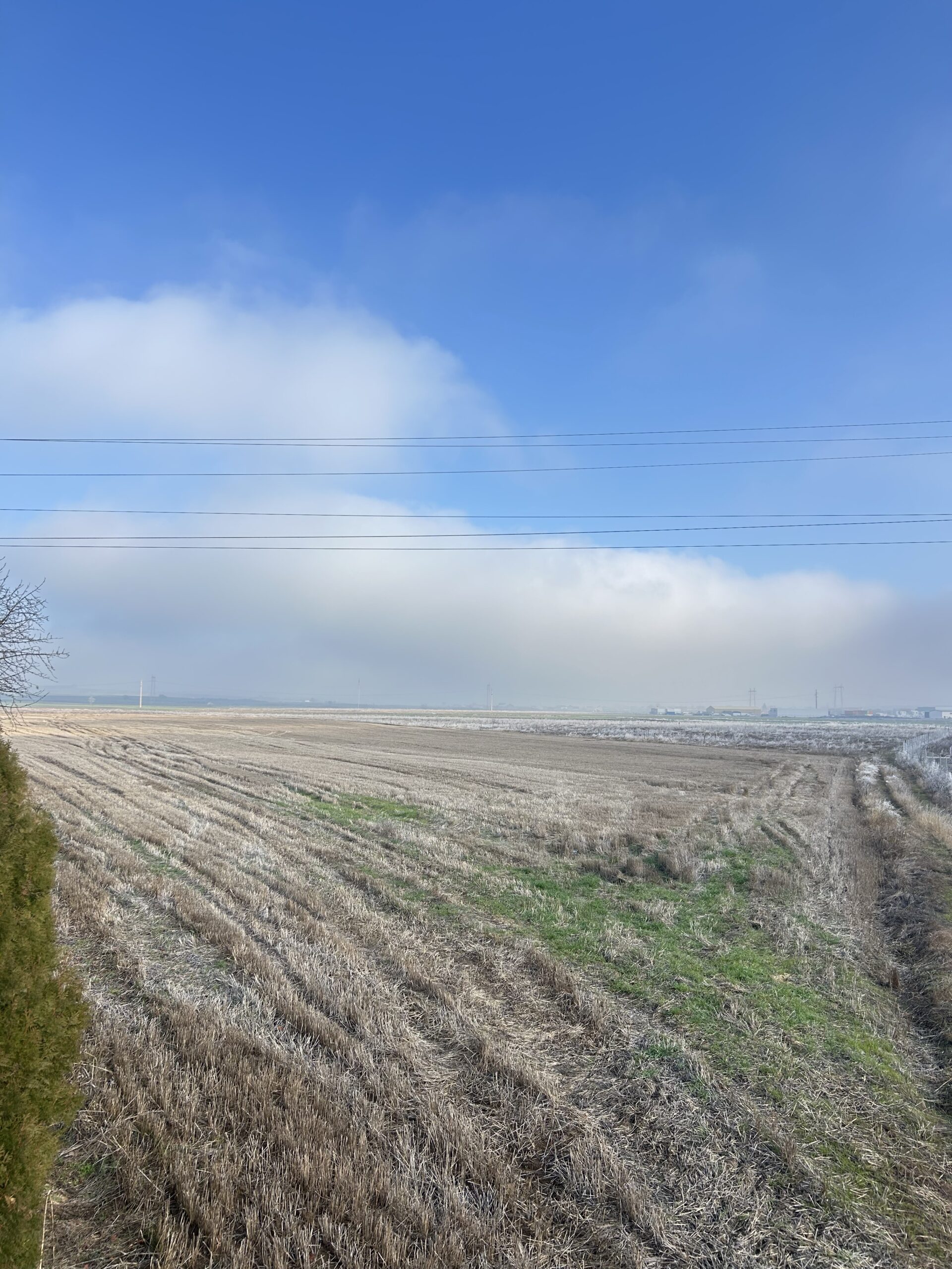 Toke 181 ari #PerShitje ne Dobratine - Image 3