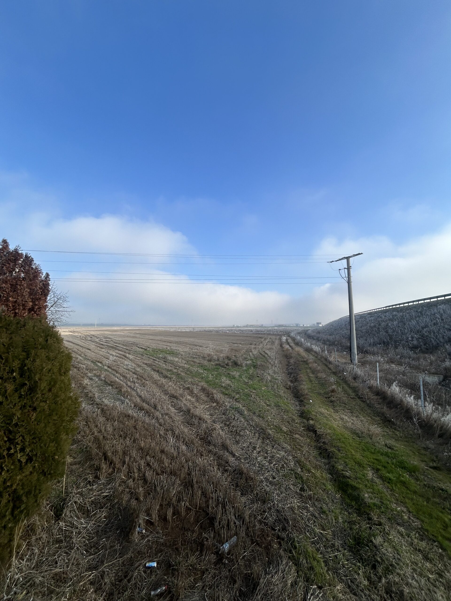 Toke 181 ari #PerShitje ne Dobratine - Image 4