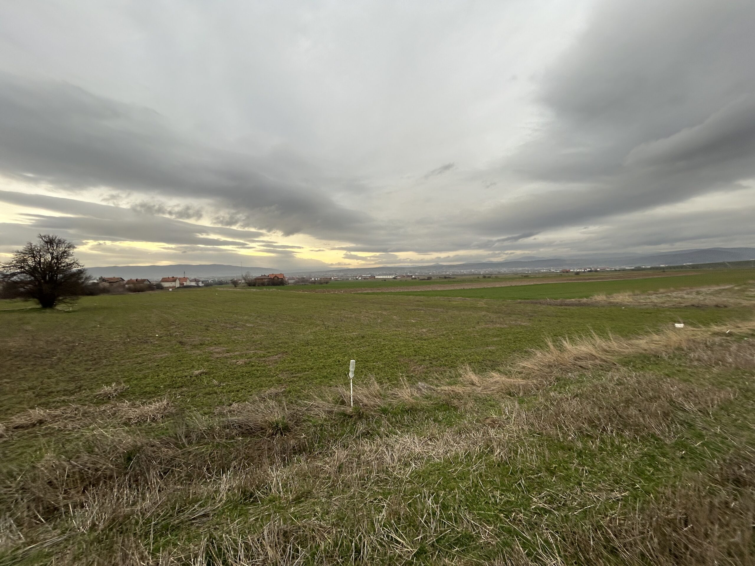 Toke 45 ari #PerShitje ne Bardhosh - Image 3