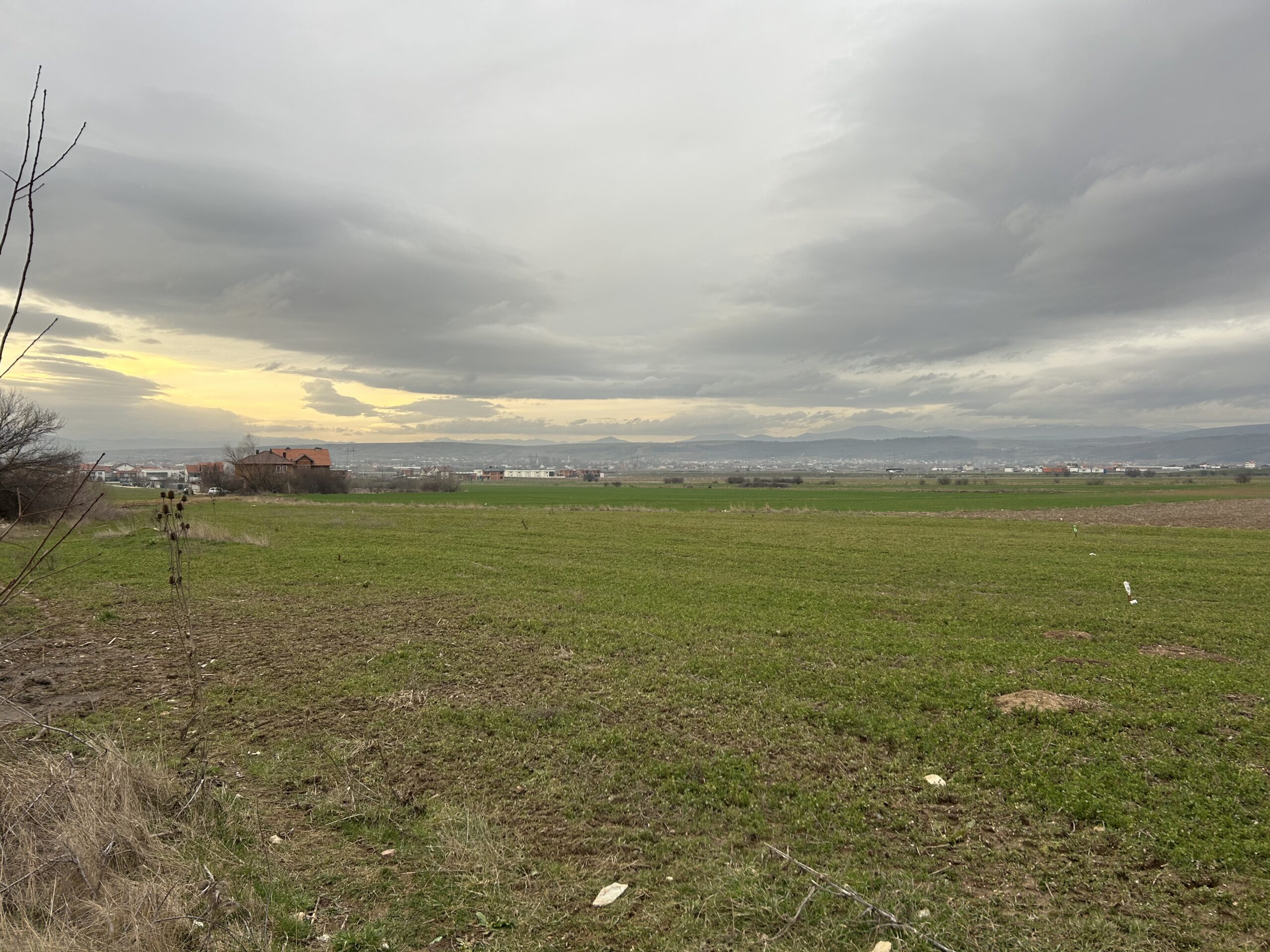 Toke 45 ari #PerShitje ne Bardhosh - Image 4