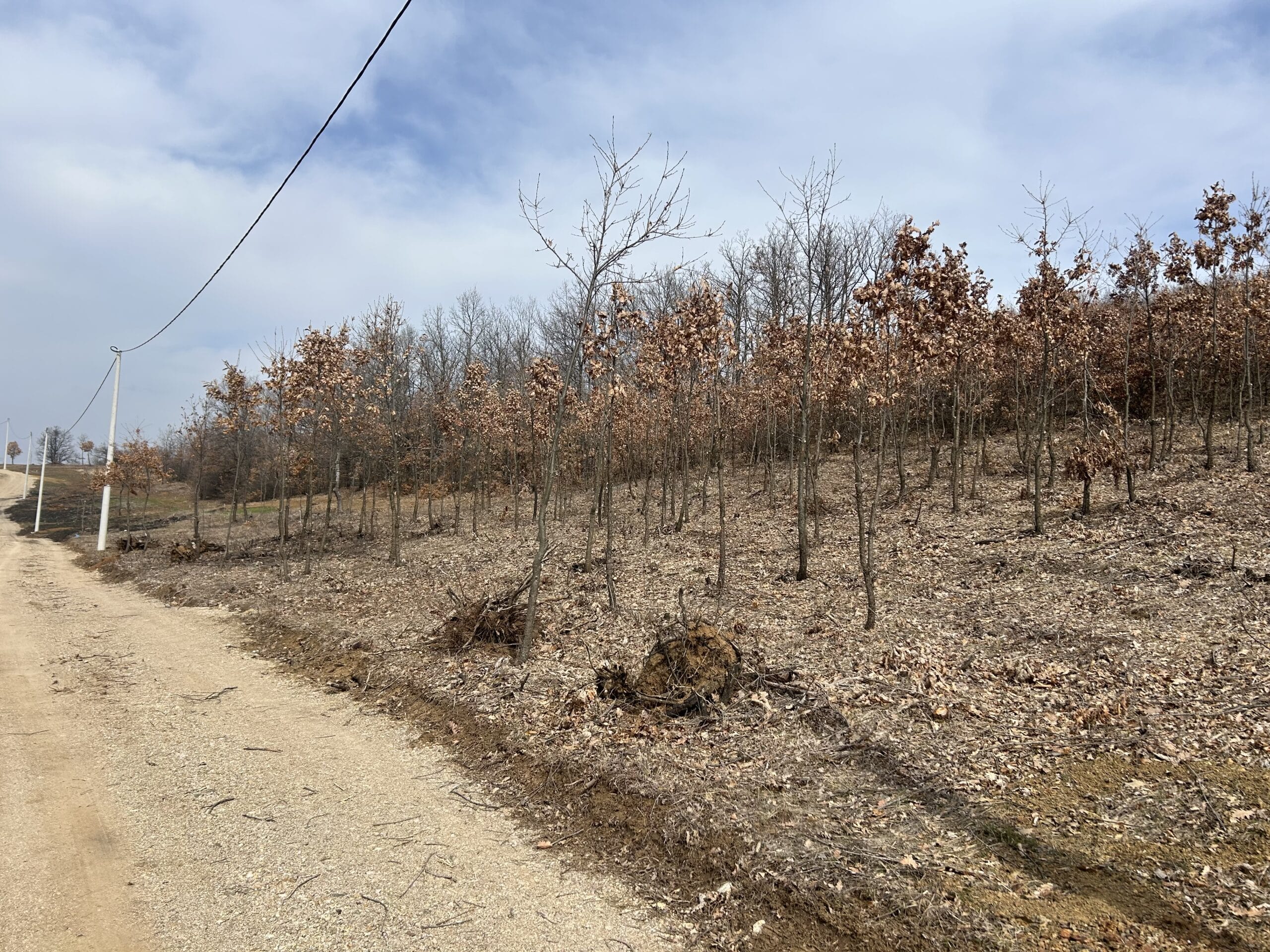 #30 12 Parcella 4-7ari #PerShitje ne Busi - Image 5