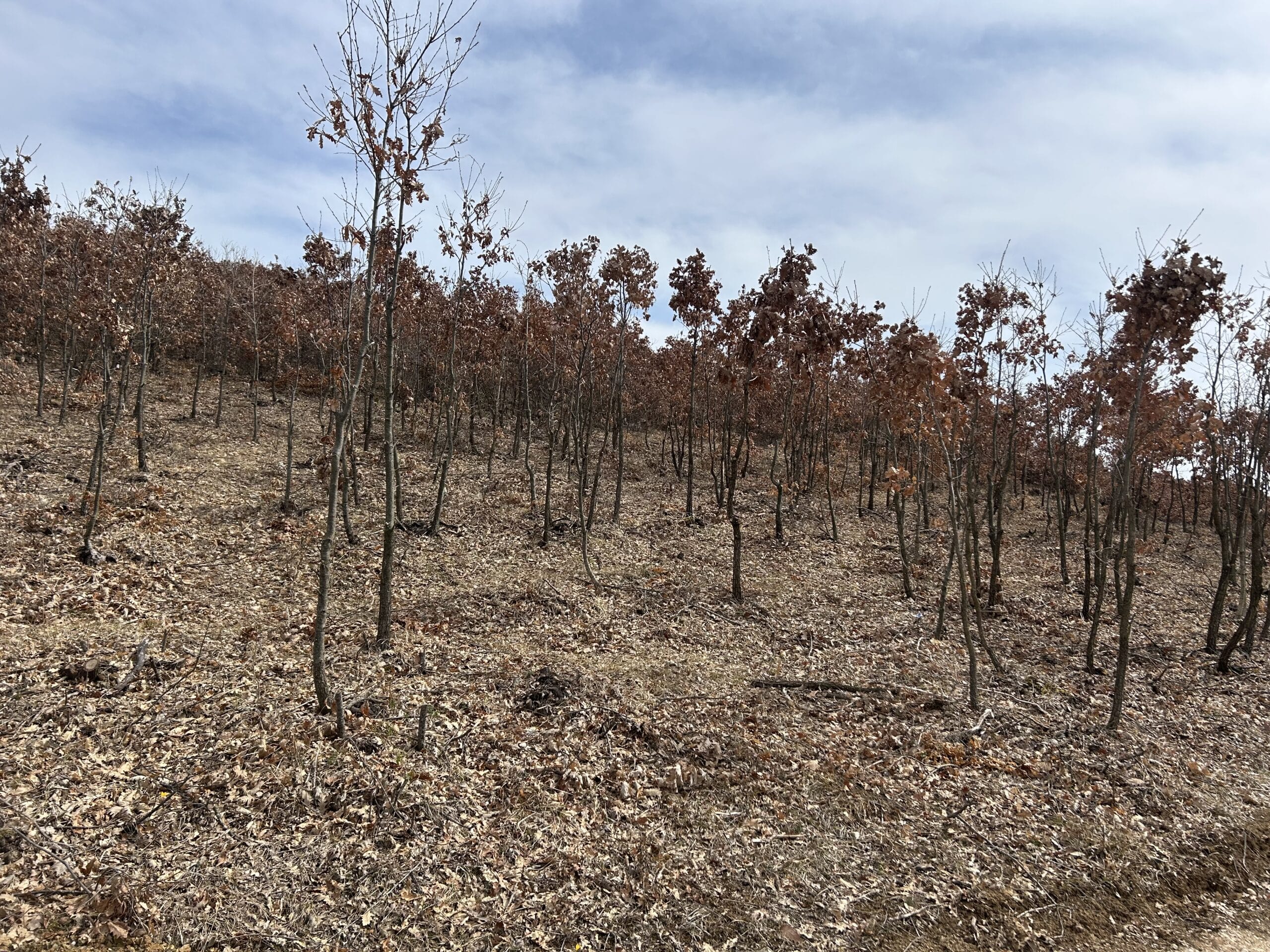 #30 12 Parcella 4-7ari #PerShitje ne Busi - Image 4