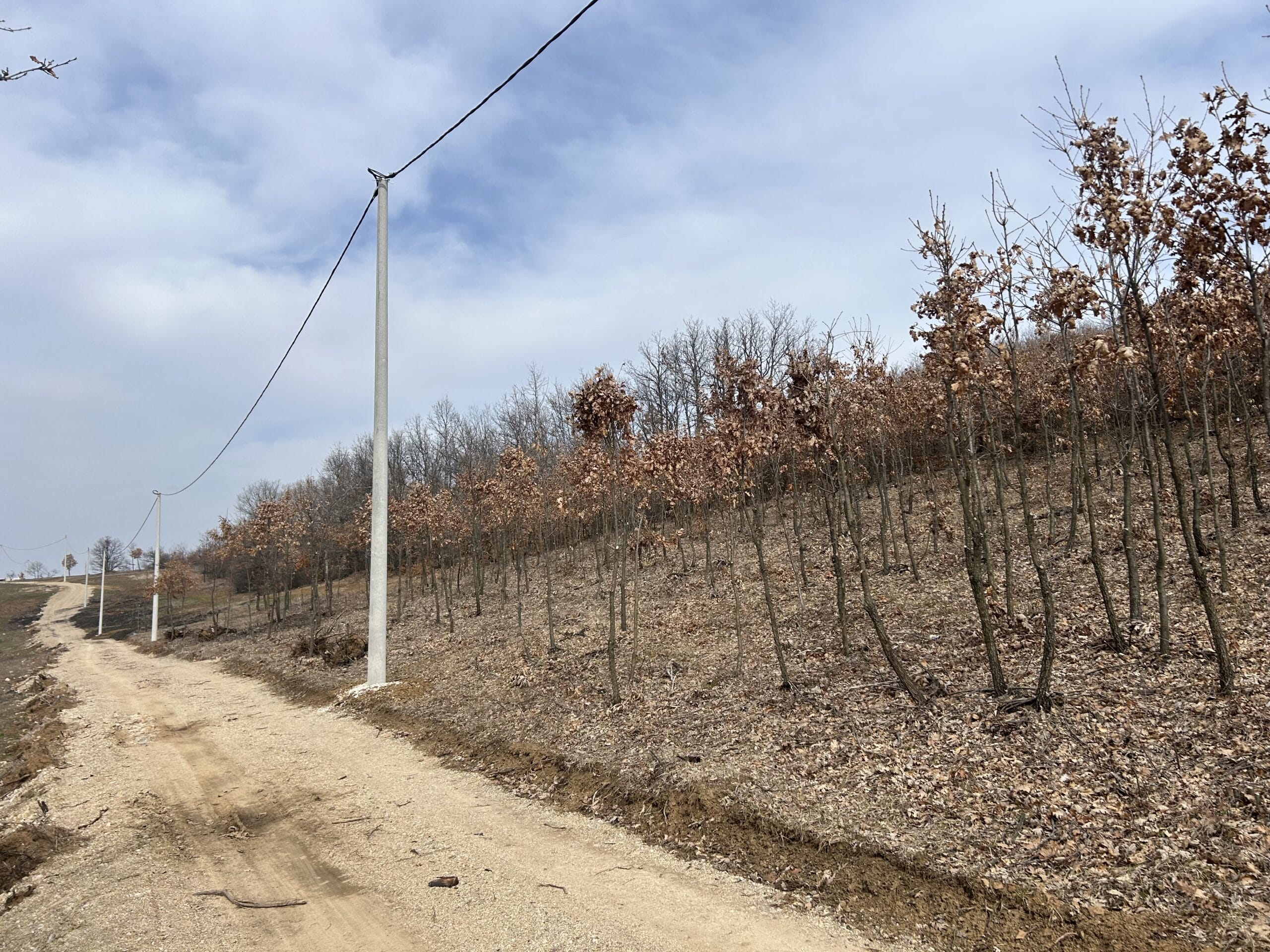 #30 12 Parcella 4-7ari #PerShitje ne Busi - Image 3