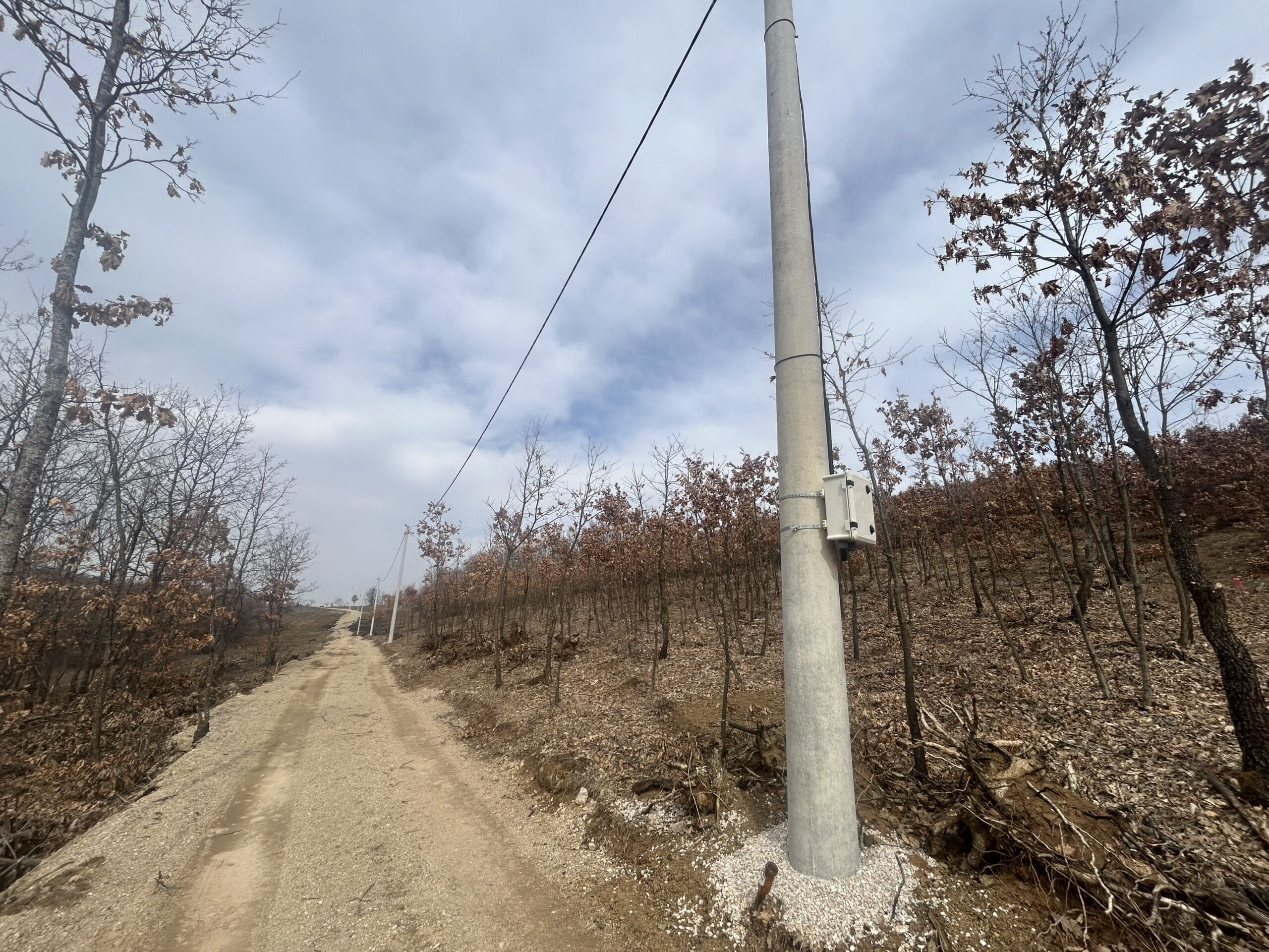 #30 12 Parcella 4-7ari #PerShitje ne Busi - Image 2