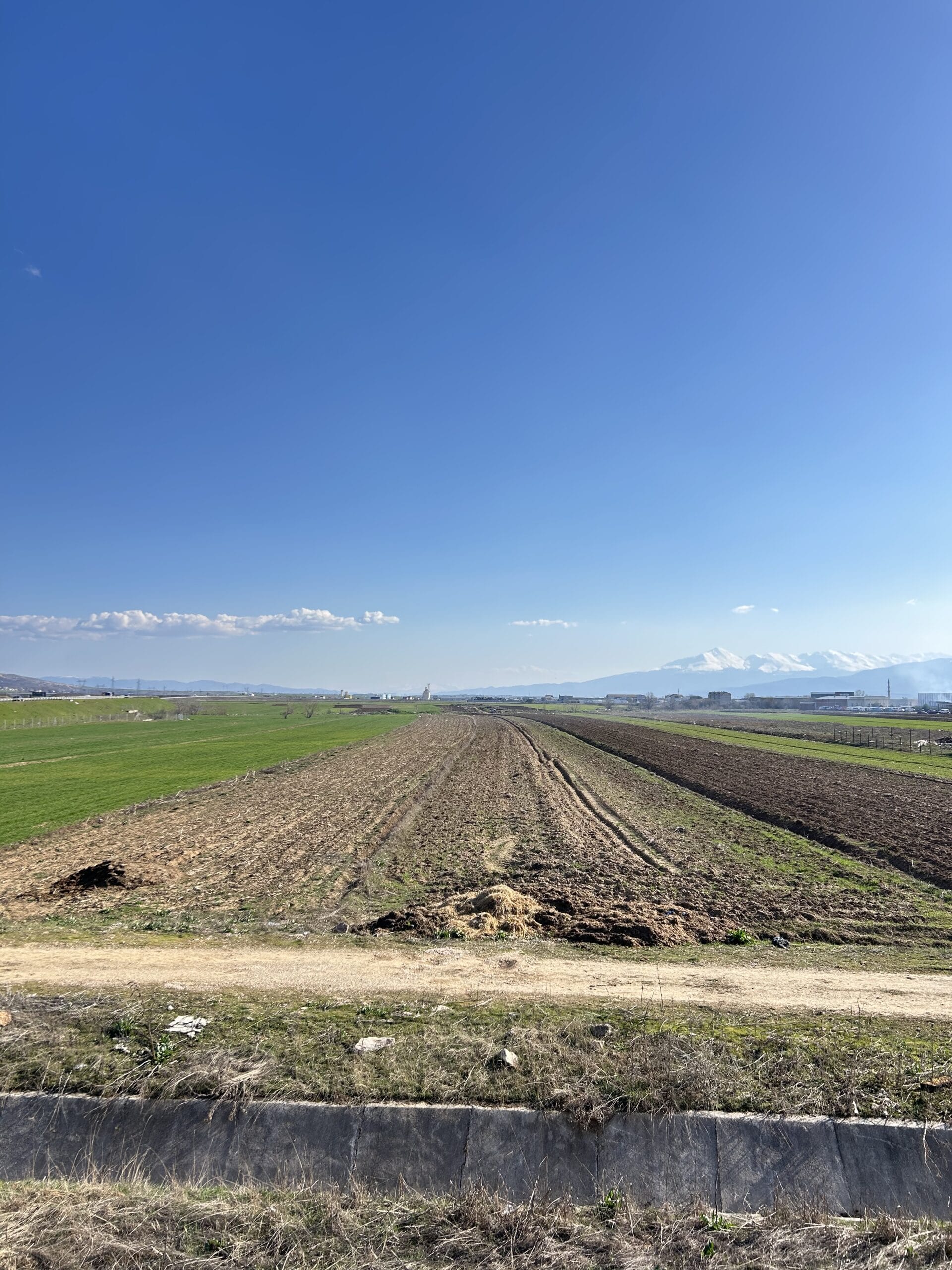 #41 Toke 107 ari #PerShitje ne Dobratine - Image 3