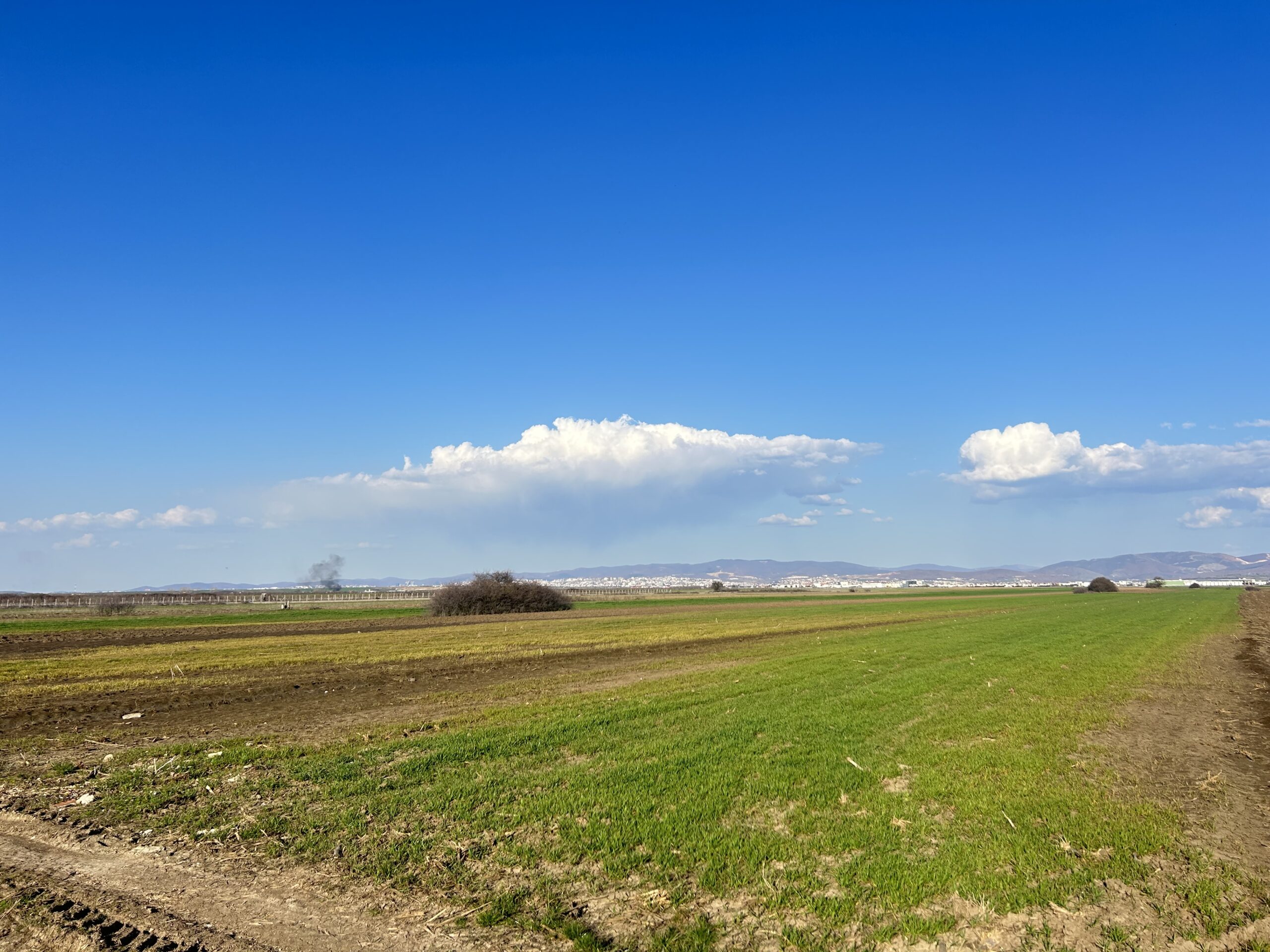 #54 Toke 447 ari #PerShitje ne Lepi - Image 4