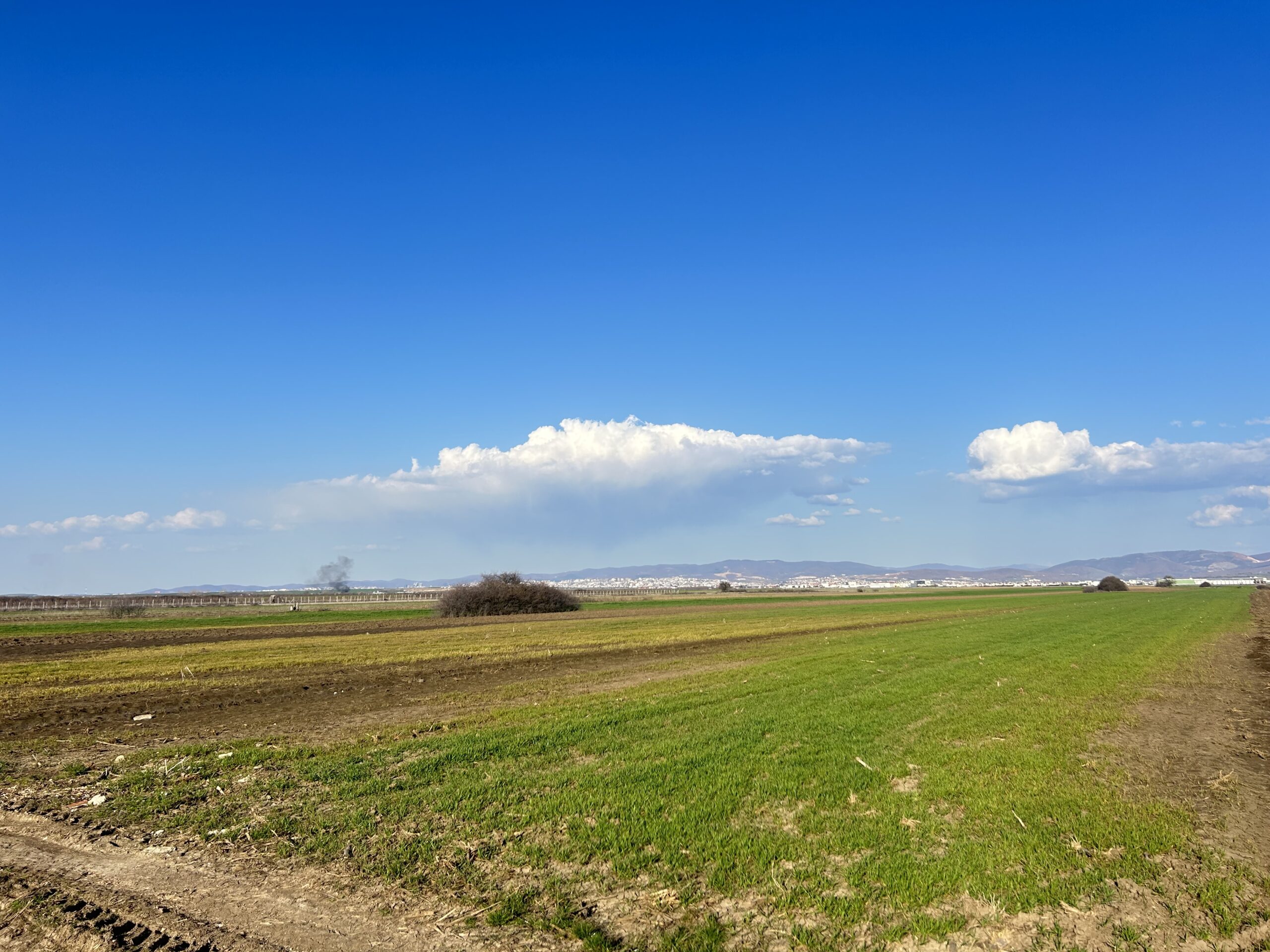 #49 Toke 447 ari #PerShitje ne Lepi - Image 2