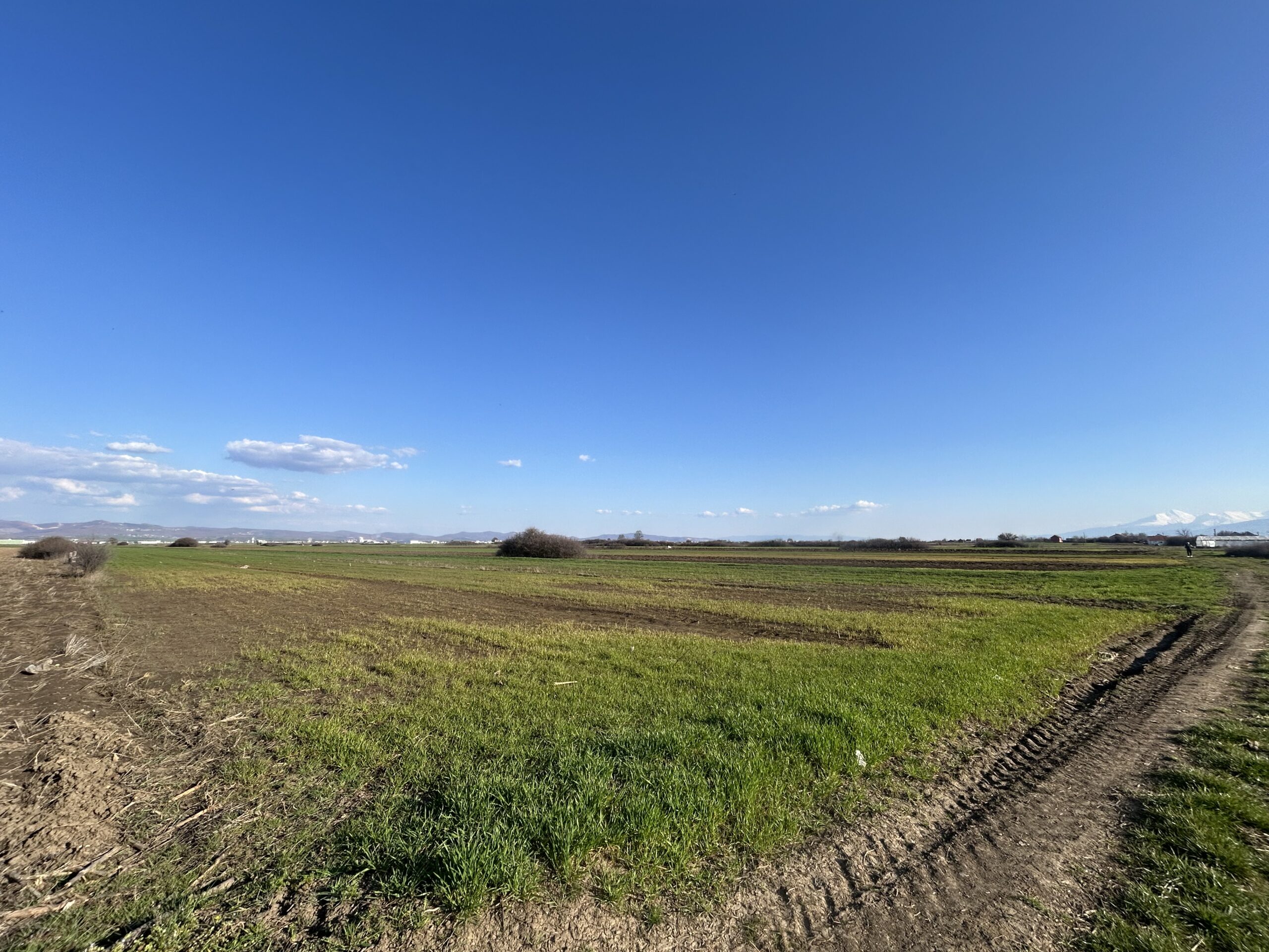 #49 Toke 447 ari #PerShitje ne Lepi - Image 4