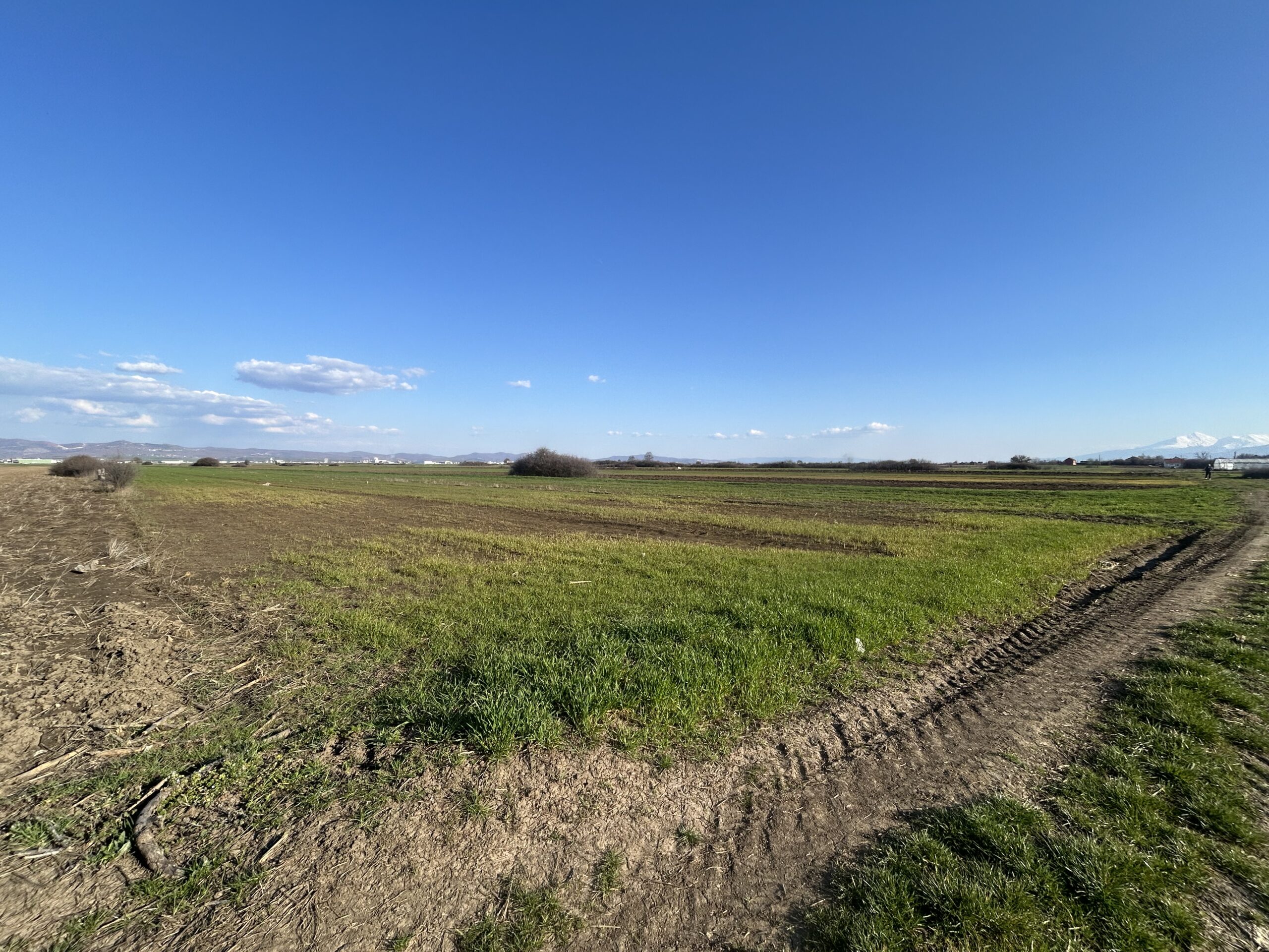 #54 Toke 447 ari #PerShitje ne Lepi - Image 2