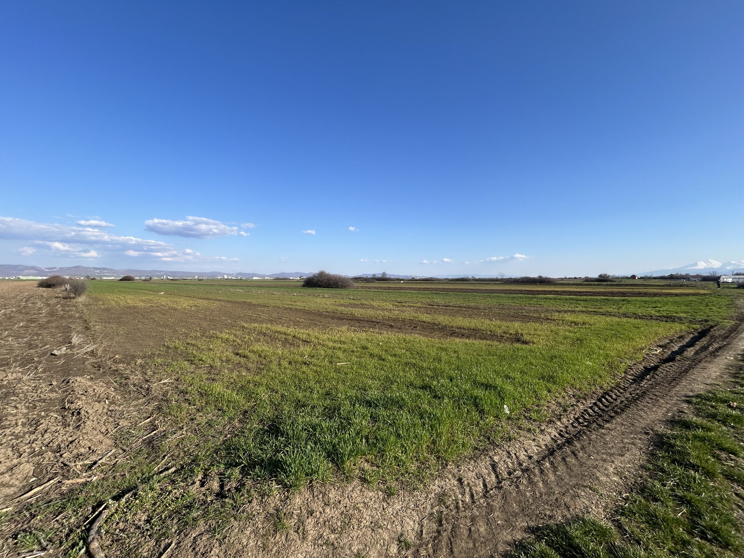 #49 Toke 447 ari #PerShitje ne Lepi - Image 3